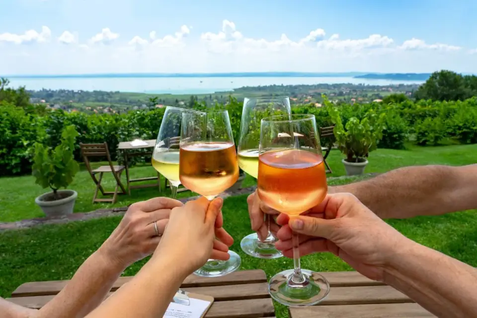Borospoharak a Balaton-felvidéki szőlősorok és tanúhegyek előtt.